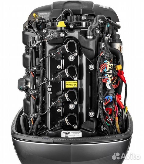 Лодочный мотор Mikatsu (Микатсу) MF90FEL-T-EFI лев