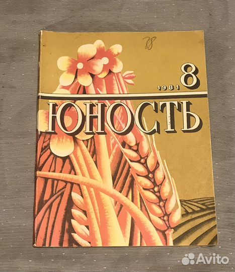 Журнал СССР Юность август 1981 год