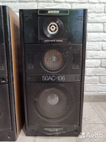 Акустические колонки Вега 50ас-106