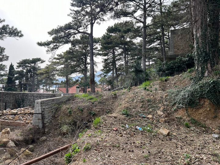 Участок 3,1 сот. (ИЖС)