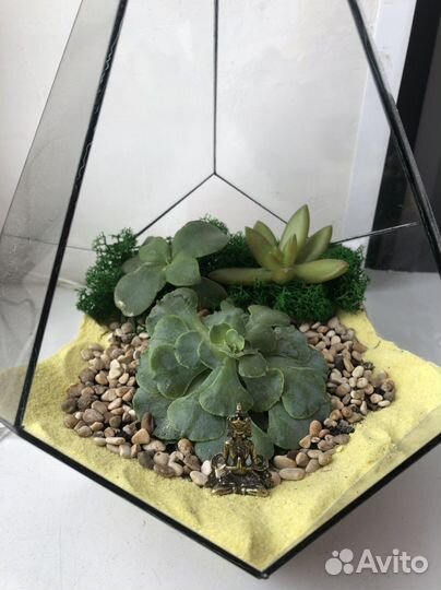 Флорариум на 8 Марта и День Рождения