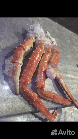 Камчатский краб