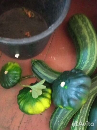 Продам картофель