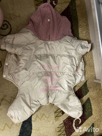 Одежда для средних собак