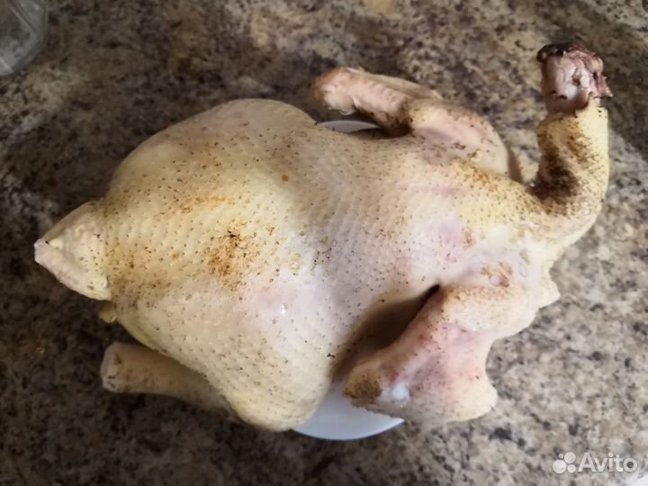 Свежее мясо цыплят - бройлеров