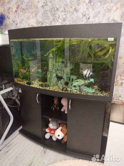 Аквариум