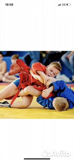 Тренер по дзюдо самбо