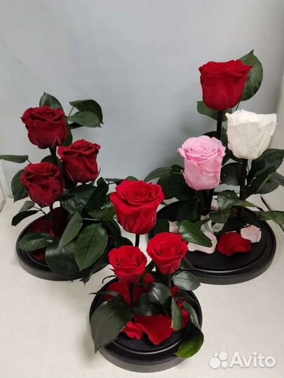 Роза в колбе оптом и в розницу