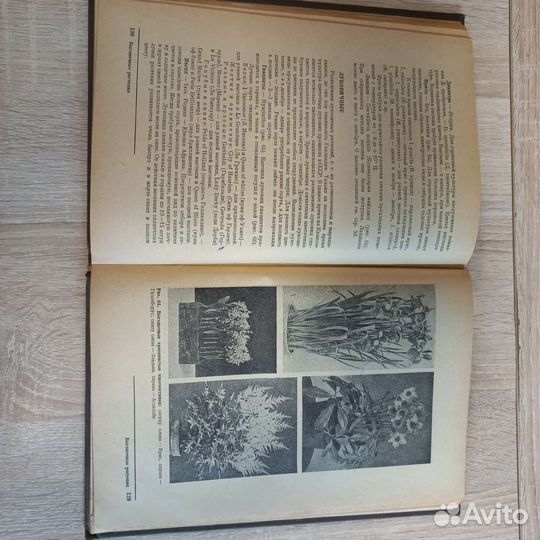 Комнатное цветоводство 1937 г