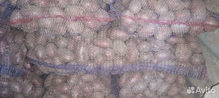 Продам картофель с доставкой