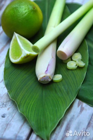 Челнобородни к