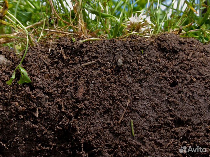 Торф. Хлюпино