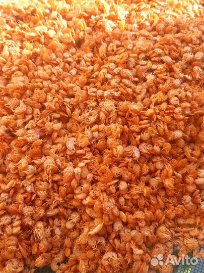 Корм для рыбок аквариумных Гаммарус