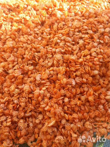 Корм для рыбок аквариумных Гаммарус