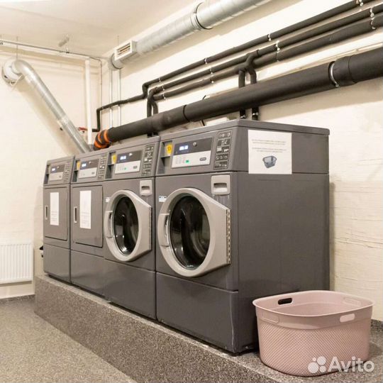 Прачка (прачкист)