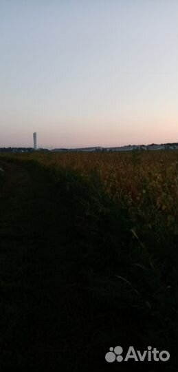 Мопед Alpha bars 110