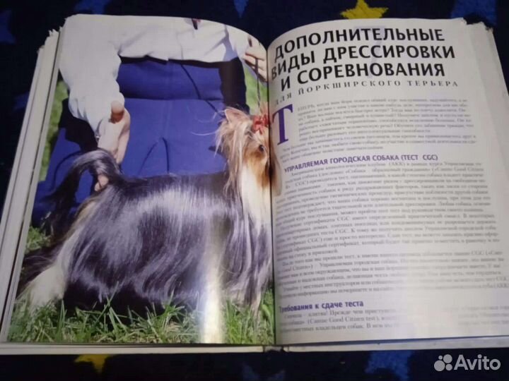 Иокширский терьер