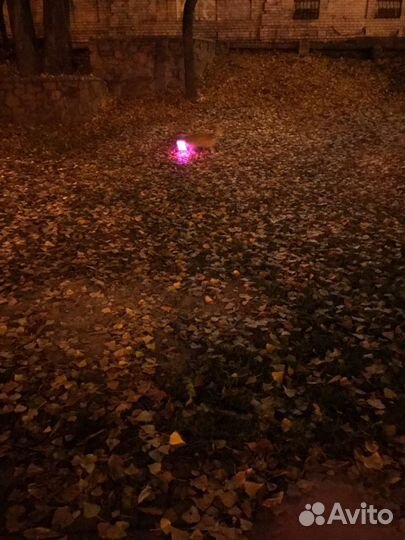 Светящийся светодиодный ошейник для собак и кошек