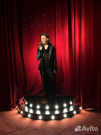 Спою вашу песню