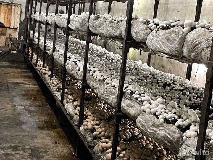 Продам готовый бизнес производство