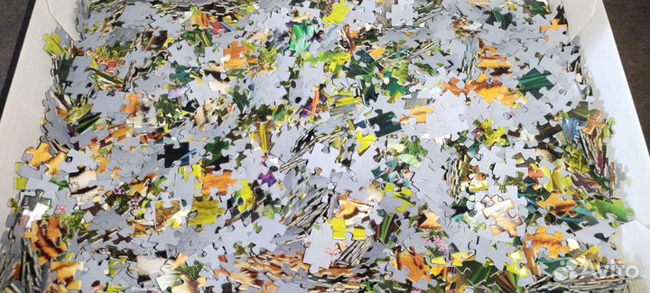 Пазлы 2000 деталей