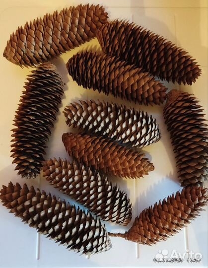 Рождественские Еловые Шишки