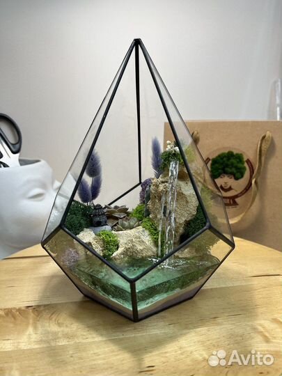 Флорариум из суккулентов