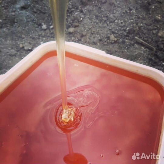 Мед в розницу, опт