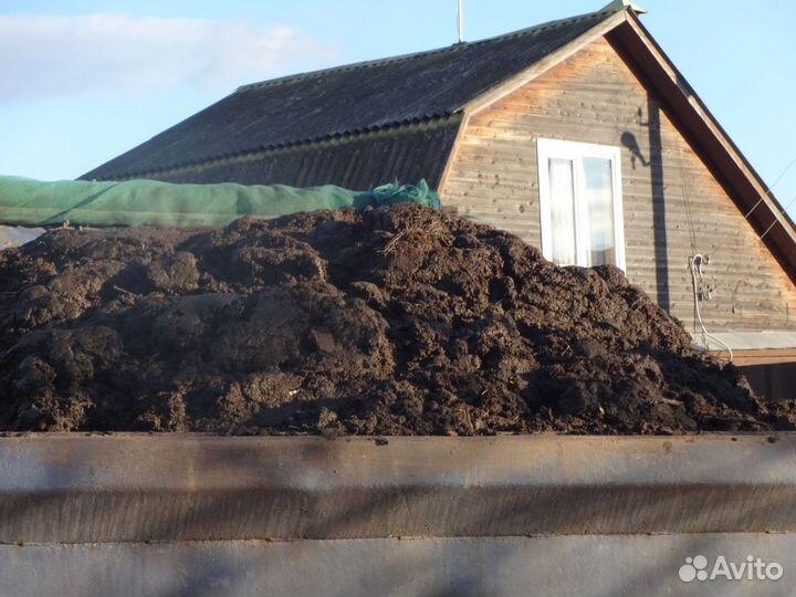 Навоз для удобрения огорода