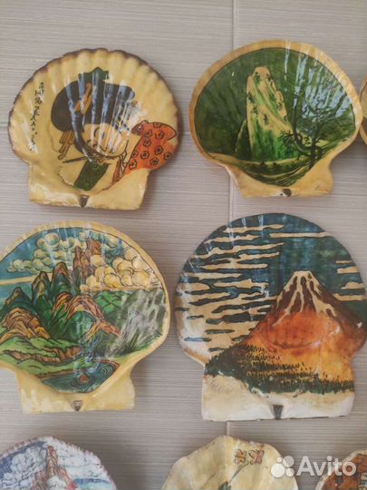 Морские ракушки раковины