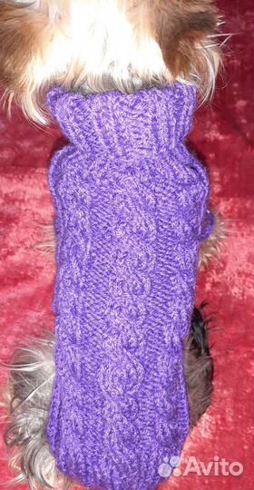 Кофточка на маленькую собачку