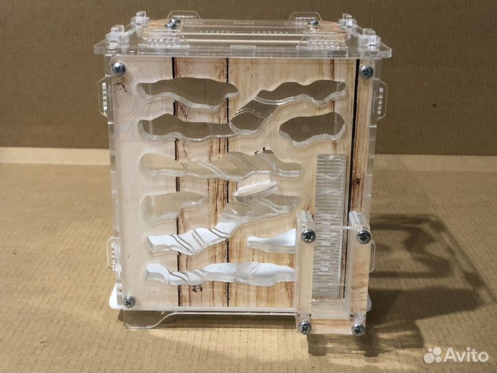 Формикарий / муравьиная ферма