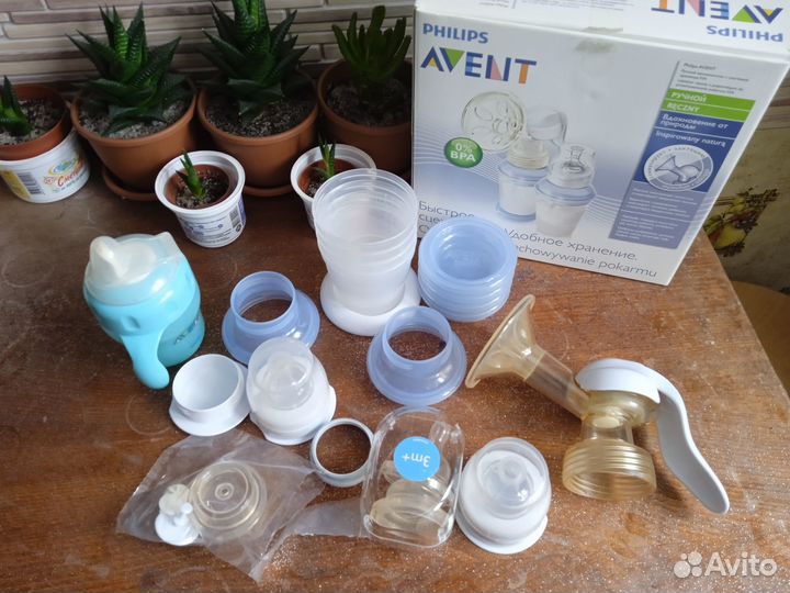 Молокоотсос