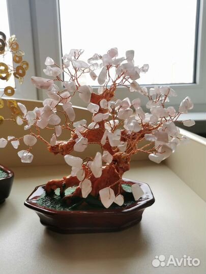 Дерево Фен - Шуй