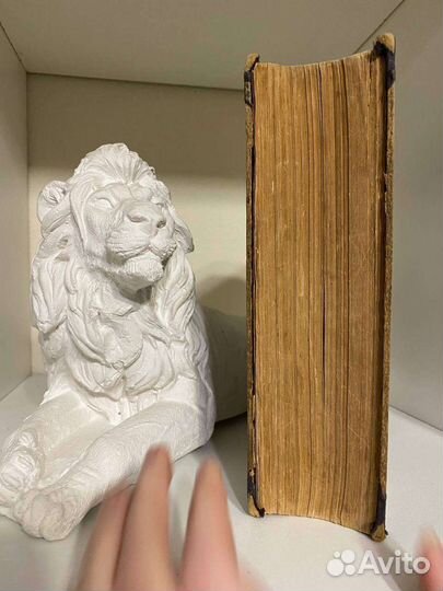 Генрих Гейне Том 1 и том 2. 1904