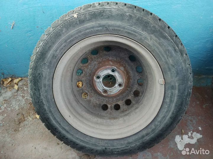 Gislaved Nord Frost 5 175/70 R14 84T