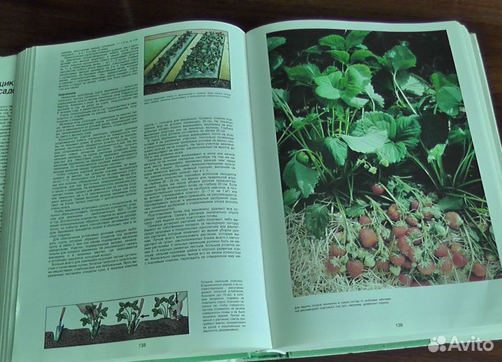 Энциклопедия садовода