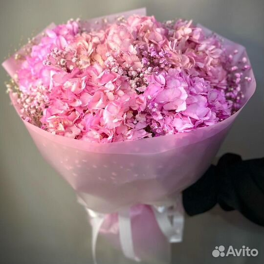 Гортензии, цена от производителя