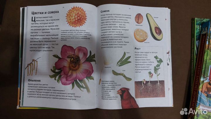 Книги детские