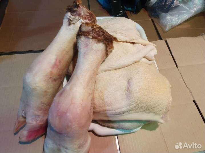 Требуха говяжья