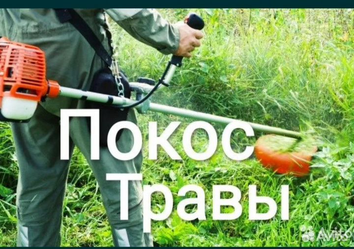 Услуги покос скос травы триммером