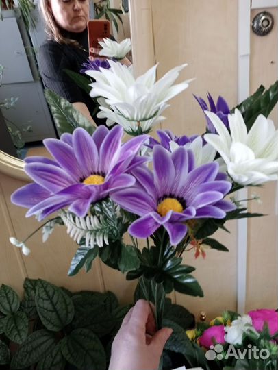 Гиппиаструм