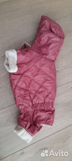 Шлейка, комбез, сапоги, лотки для малой собачки