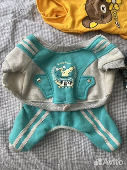 Одежда для собак пакетом