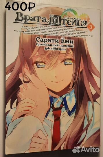 Книги Врата Штейна, семья шпиона