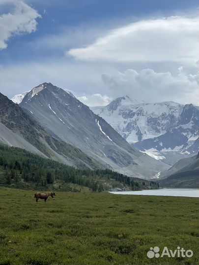 Горный Алтай. Пеший тур к подножию Белуху