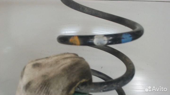 Пружина подвески Skoda Fabia, 2021