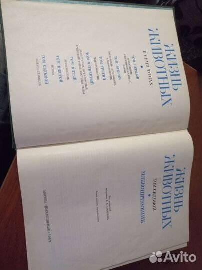 Энциклопедия жизнь животных