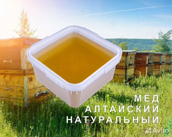 2024 Мед натуральный алтайский оптом