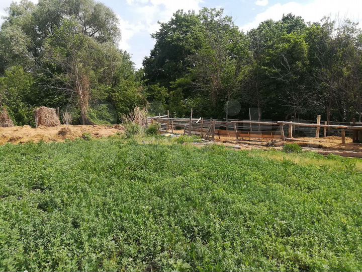 Участок 43,6 сот. (СНТ, ДНП)